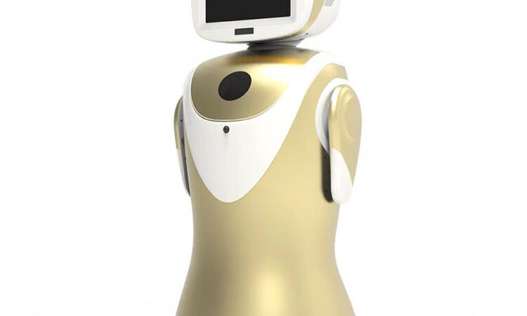 Attractive Cute Futuristic Social Robot Companion Performer Fun and Interactive Commercial Reception Robot