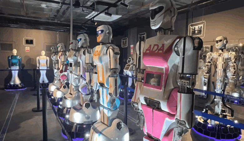 What is a Social Robot IRM Blog